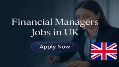 Financial Manager Jobs in UK