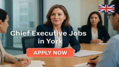 Chief Executive Jobs in York