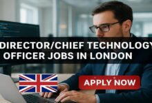 IT DirectorChief Technology Officer Jobs in London