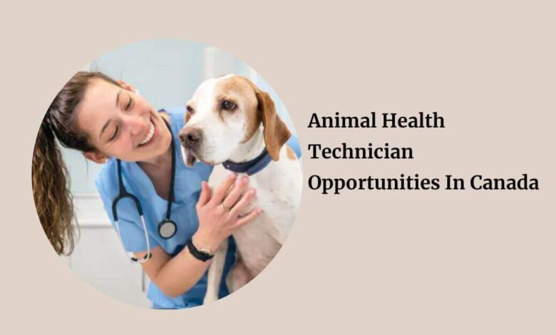 Animal Health Technician Opportunities In Canada