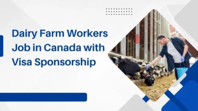 Dairy Farm Workers Job in Canada