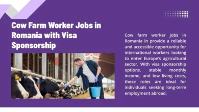 Cow Farm Worker Jobs in Romania