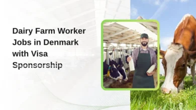 Dairy Farm Worker Jobs in Denmark