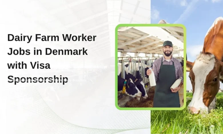Dairy Farm Worker Jobs in Denmark
