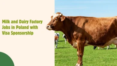 Milk and Dairy Factory Jobs in Poland