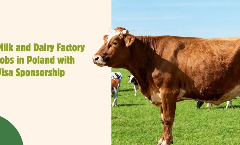 Milk and Dairy Factory Jobs in Poland