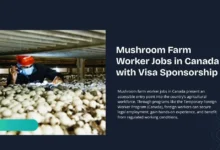Mushroom Farm Worker Jobs in Canada
