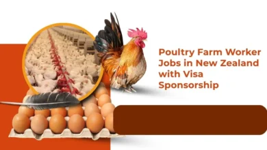 Poultry Farm Worker Jobs in New Zealand