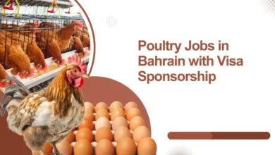 Poultry Jobs in Bahrain