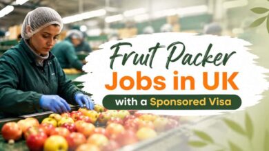 Fruit Packer Jobs in UK with a Sponsored Visa